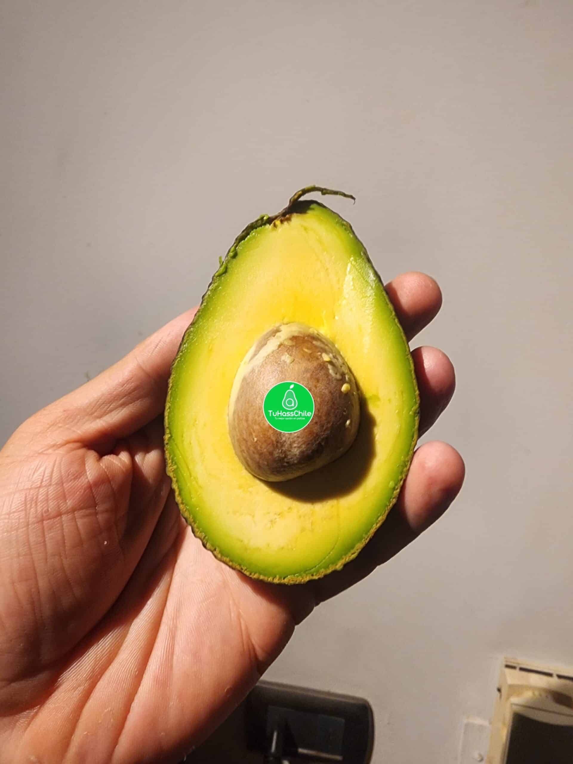 40 Kg Palta Hass